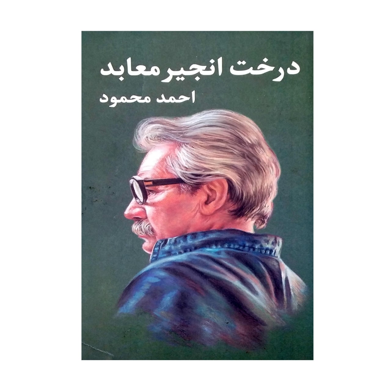 کتاب درخت انجیر معابد اثر احمد محمود نشر معین جلد 2