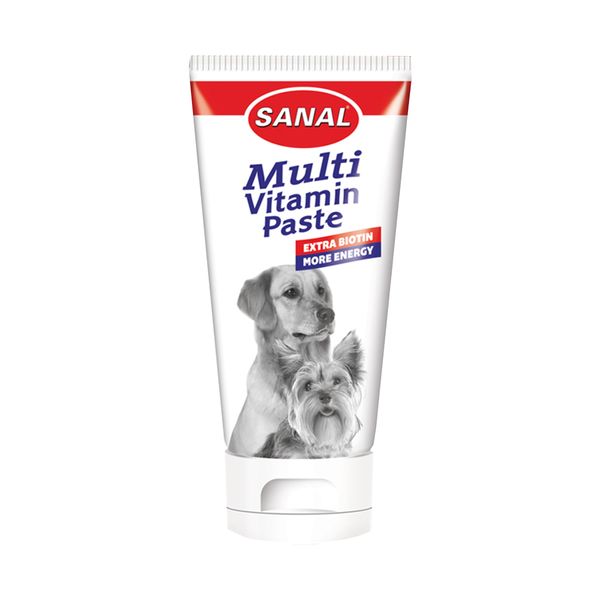 خمیر مولتی ویتامین سگ سانال مدل Vitamin وزن 100 گرم