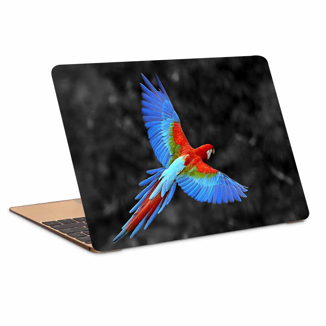 استیکر لپ تاپ طرح Macaw کد p-1178 مناسب برای لپ تاپ 15.6 اینچ