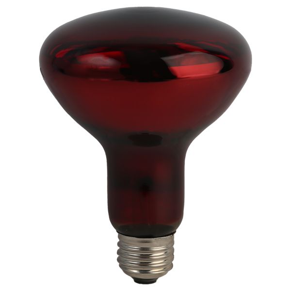 لامپ مادون قرمز 250 وات مصباح مدل R125-IR-250W-E27-RED پایه E27