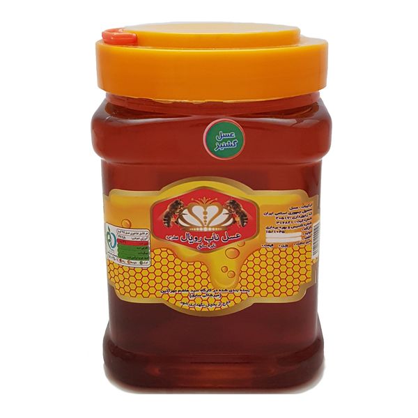 عسل طبیعی گشنیز عسل ناب رویال فُطرس خوانسار - 1 کیلوگرم