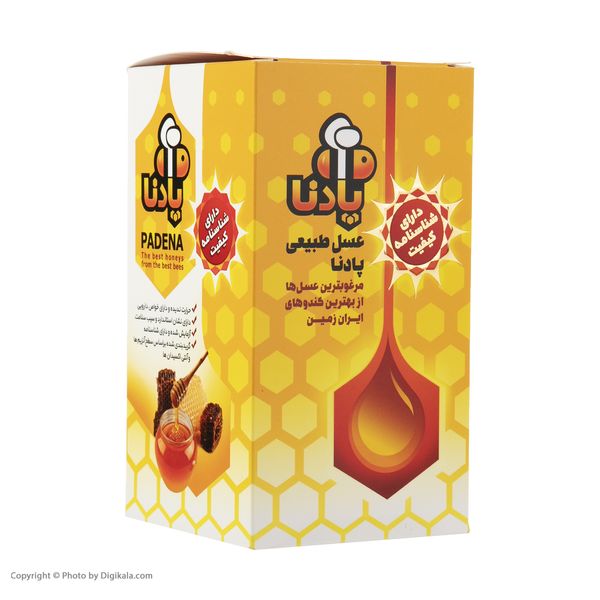 عسل طبیعی پادنا - 850 گرم 