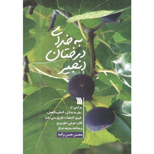 کتاب به خدای درختان انجیر اثر محسن حسن زاده انتشارات سروش