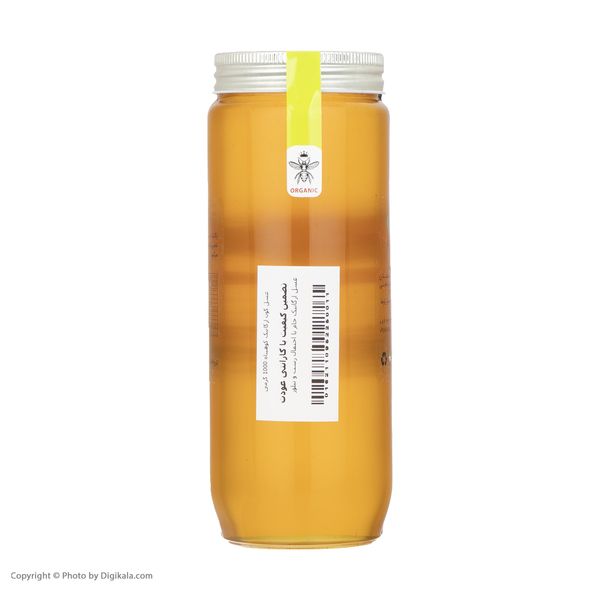 عسل ارگانیک گون کوهپناه - 1000 گرم
