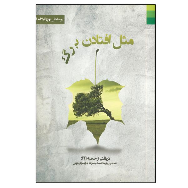 کتاب مثل افتادن برگ اثر سیده زهرا شیرازی انتشارات دلیل ما