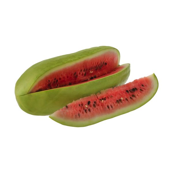 هندوانه ساکاتا بلوط - 5 کیلوگرم