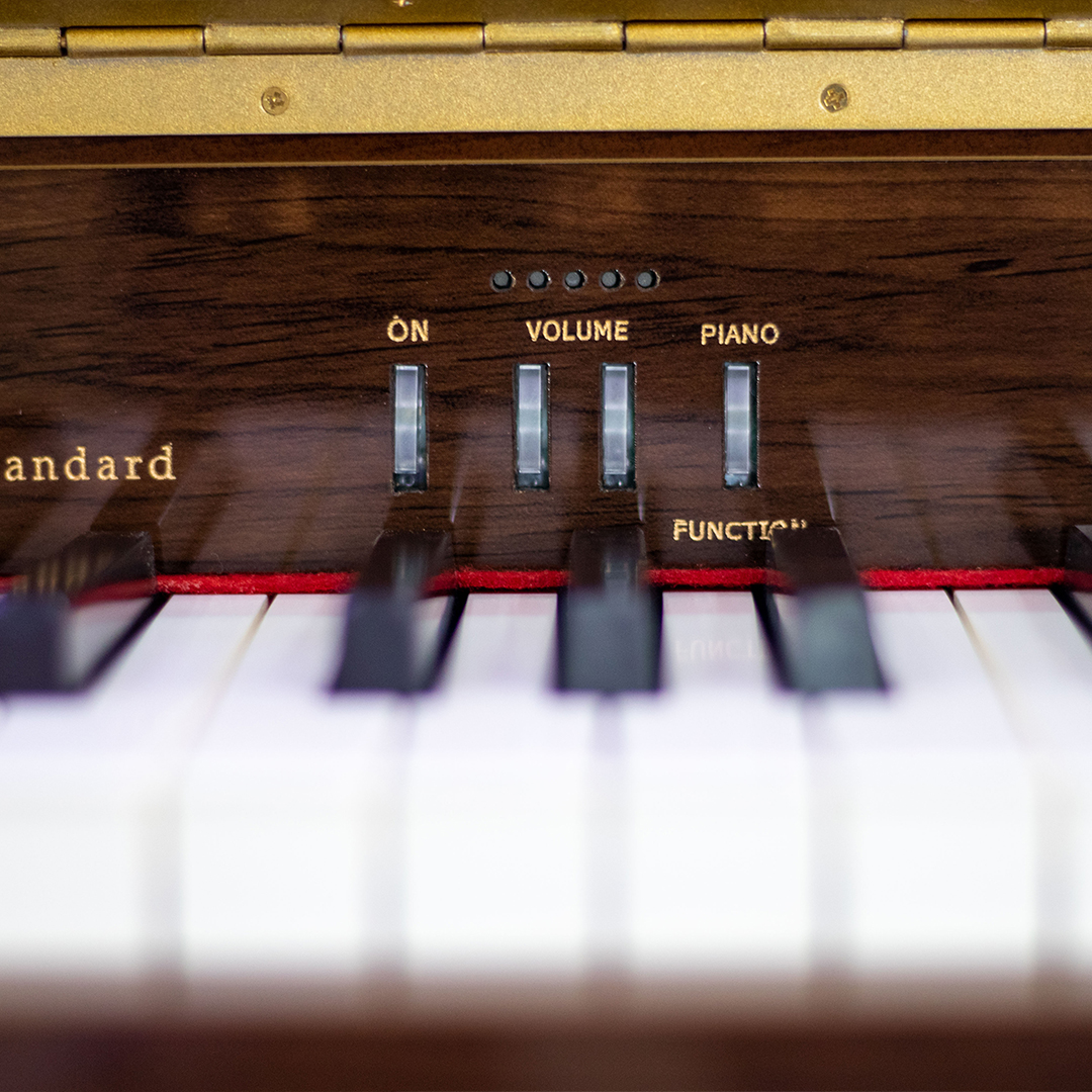 پیانو دیجیتال رولند مدل FP10 Plus