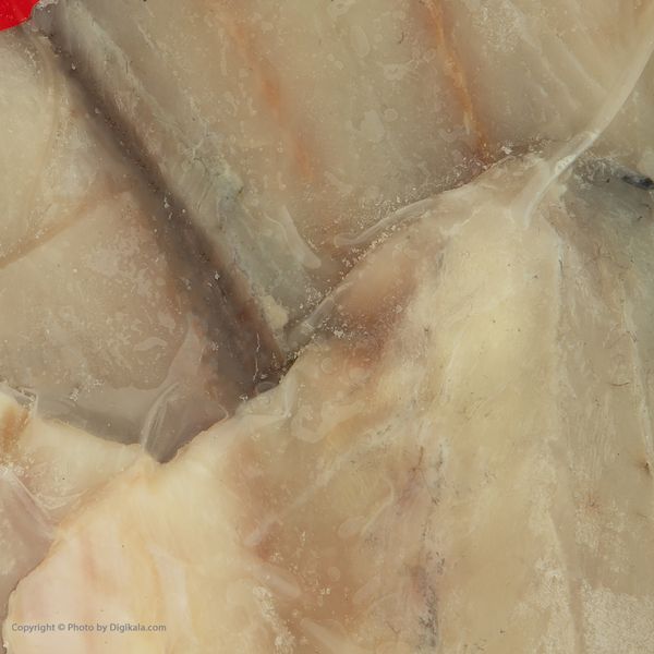 فیله ماهی سی بس بدون استخوان مه پروتئین - 500 گرم