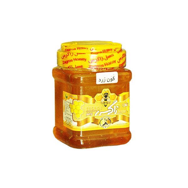 عسل گون زاگرس - 500 گرم