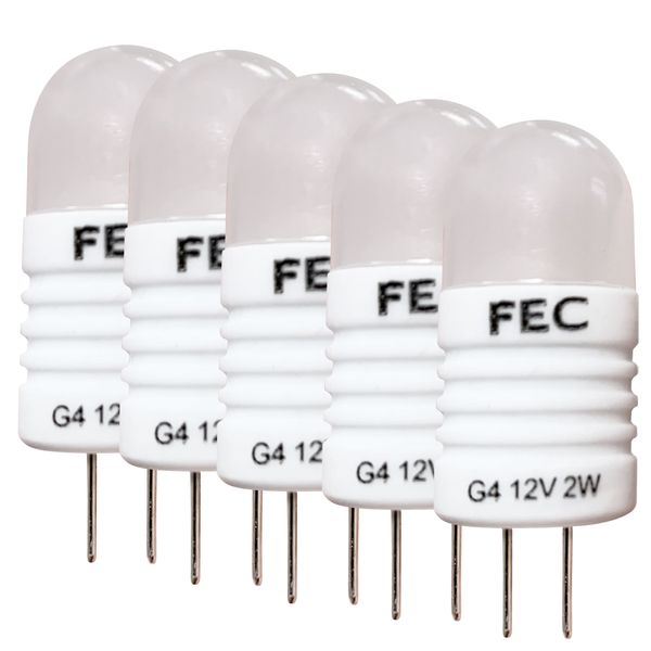 لامپ ال ای دی 2 وات اف ای سی مدل FEC-G4 بسته 5 عددی