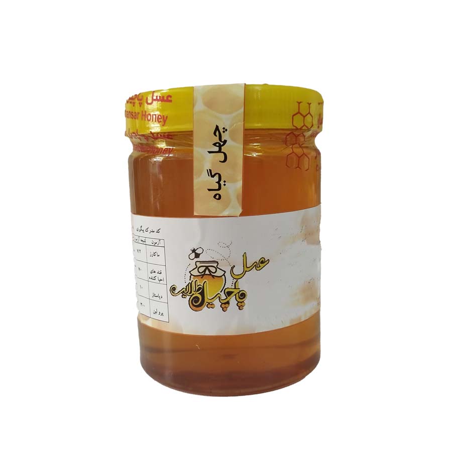 عسل چند گیاه پاچیل طلایی - 1 کیلوگرم
