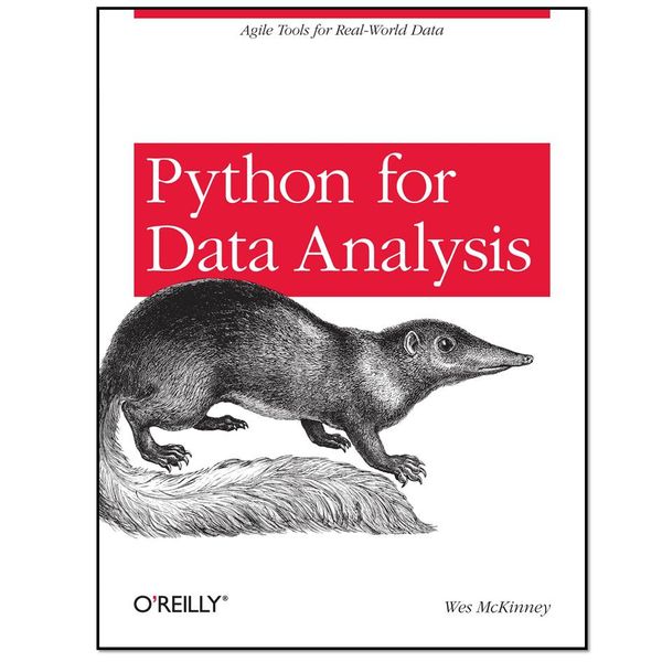 کتاب python for data analysis اثر Wes McKinney انتشارات OReilly