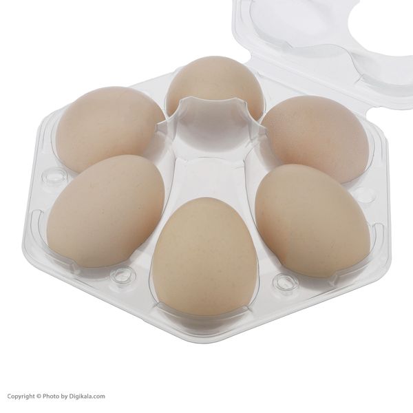 تخم مرغ محلی ترخون بانو بسته 6 عددی
