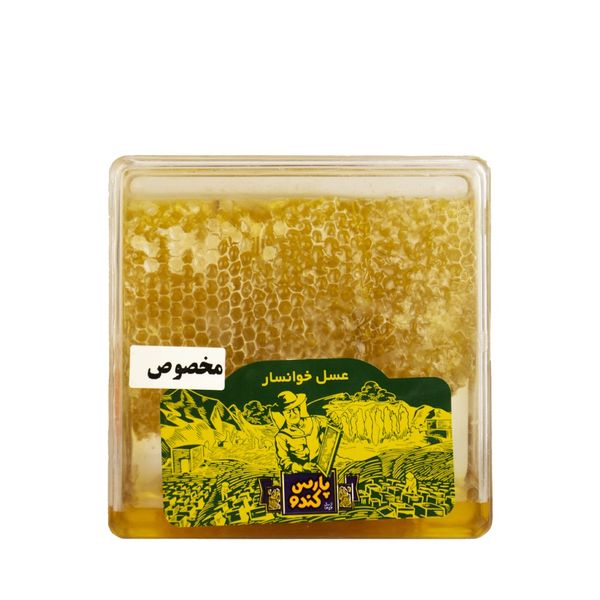 عسل مخصوص باموم پارس کندو - 500 گرم 