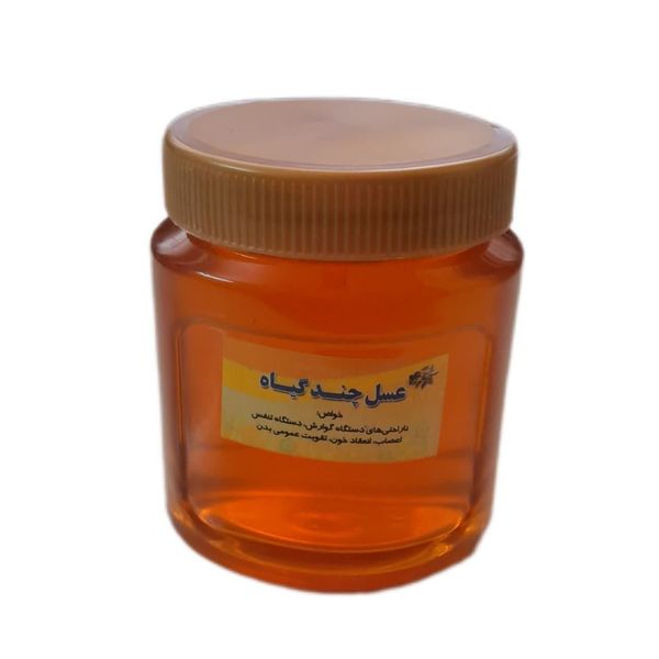 عسل طبیعی چهل گیاه - 500 گرم