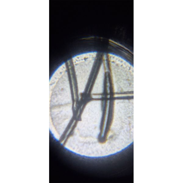 میکروسکوپ کامار مدل دانش آموزی نوری O3S50 New
