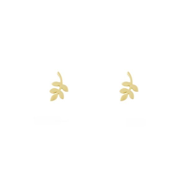 گوشواره طلا 18 عیار زنانه طلا و جواهر درریس مدل برگ زیتون