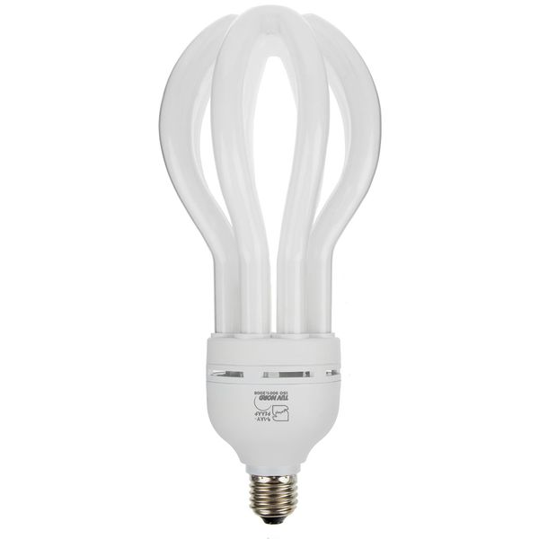 لامپ کم مصرف 75 وات افراتاب مدل 75LU پایه E27