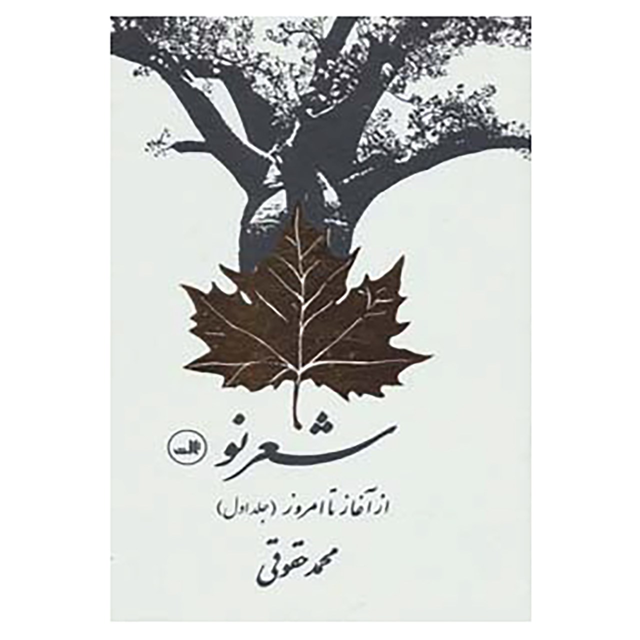 کتاب شعر نو از آغاز تا امروز اثر محمد حقوقی