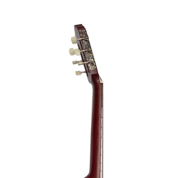 گیتار کلاسیک بنبرگ مدل BG 230 PM