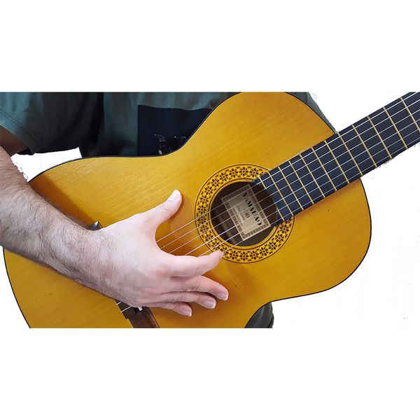 گیتار مدل C40