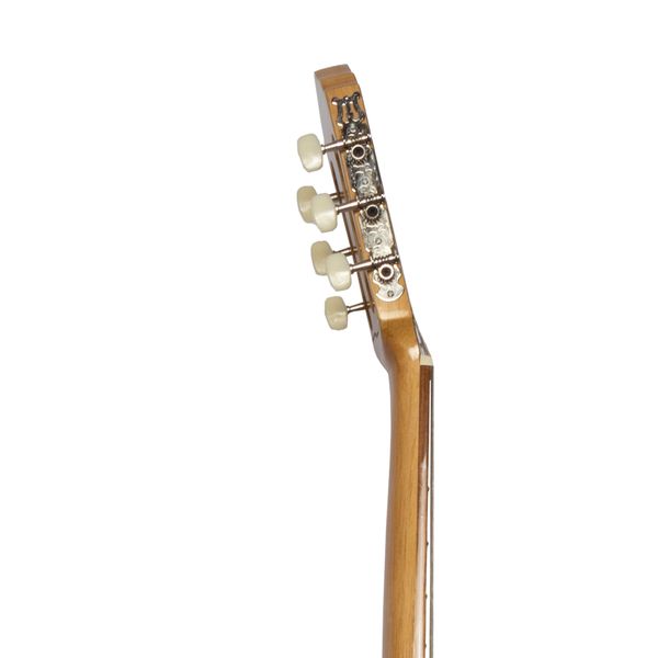 گیتار کلاسیک بنبرگ مدل BG 493
