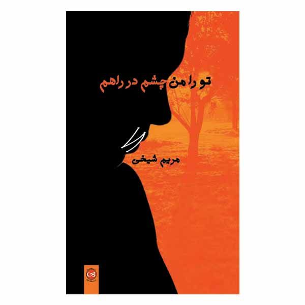 کتاب تو را من چشم در راهم اثر مریم شیخی نشر پیکان