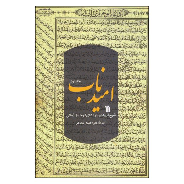 کتاب امید ناب اثر آیت الله علی احمدی انتشارات سروش