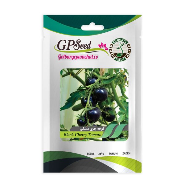 بذر گوجه چری مشکی گلبرگ پامچال کد GPF-202