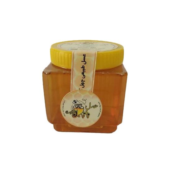 عسل چند گیاه پاچیل طلایی - 1 کیلوگرم