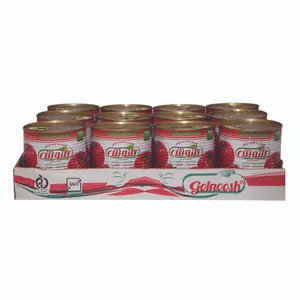 رب گوجه فرنگی گلنوش - 800 گرم بسته 12 عددی