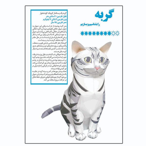 کتاب گربه را بشناسیم و بسازیم اثر م محمددوست انتشارات کاردستی