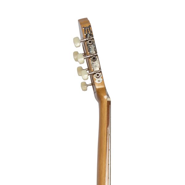 گیتار کلاسیک بنبرگ مدل BG 542