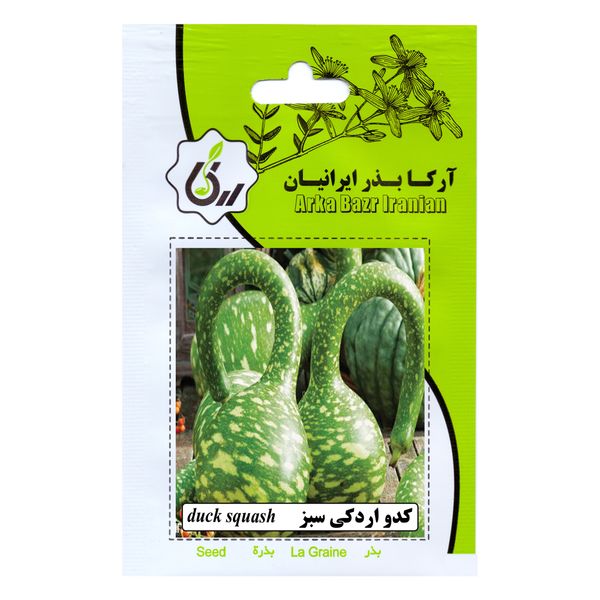 بذر کدو اردکی سبز آرکا بذر ایرانیان کد 157-ARK