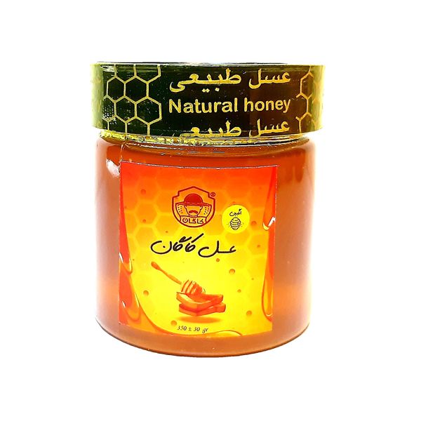 عسل انگبین طبیعی کاگان - 350 گرم