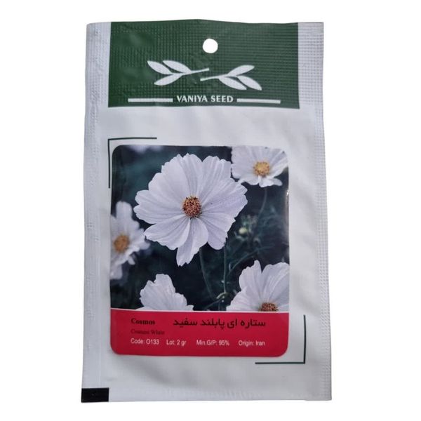 بذر گل ستاره ای پابلند سفید وانیا سید مدل BA14785