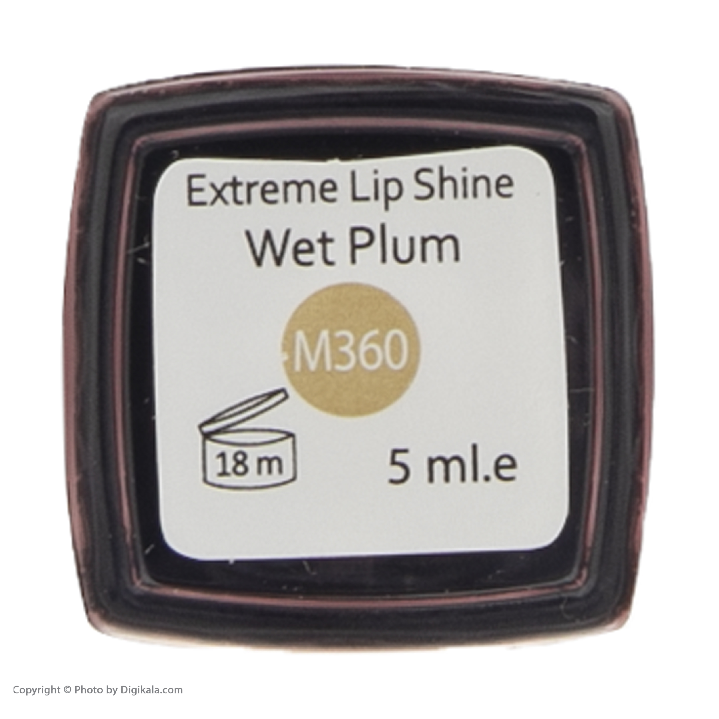 رژ لب مایع این لی مدل Wet Plum شماره M360