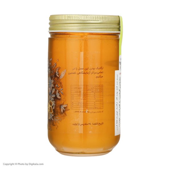 عسل ارگانیک چند گیاه بهاره گلد کوهپناه - 500 گرم