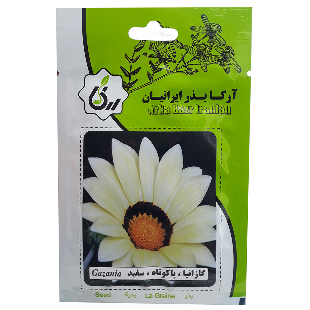 بذر گازانیا پاکوتاه سفید آرکا بذر ایرانیان کد A04