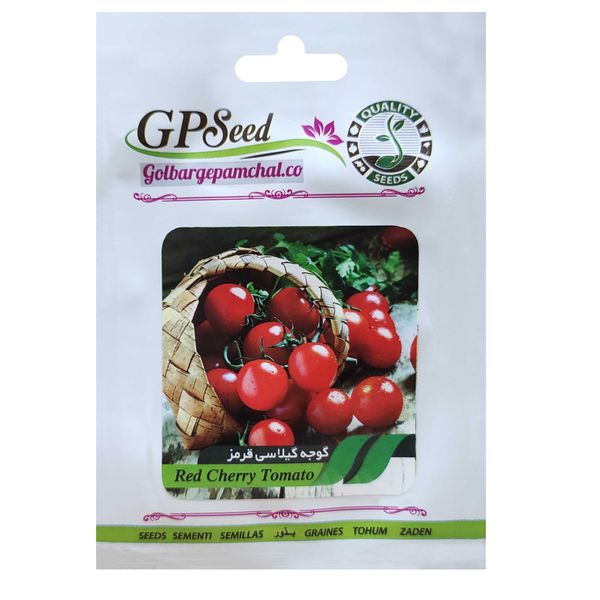 بذر گوجه گیلاسی قرمز گلبرگ پامچال کد GPF-207