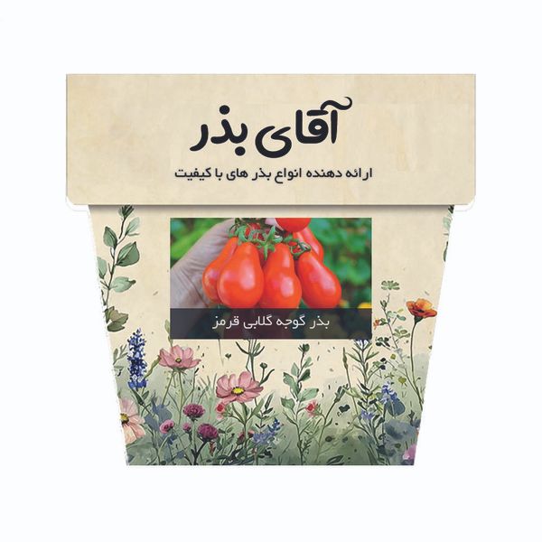 بذر گوجه گلابی قرمز آقای بذر کد 14