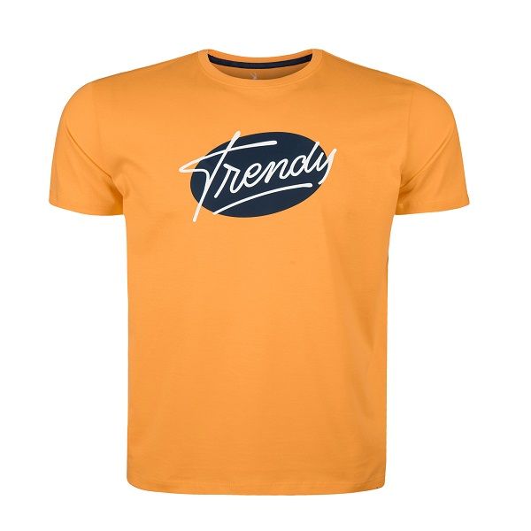 تی شرت آستین کوتاه مردانه آروما مدل 1010142701