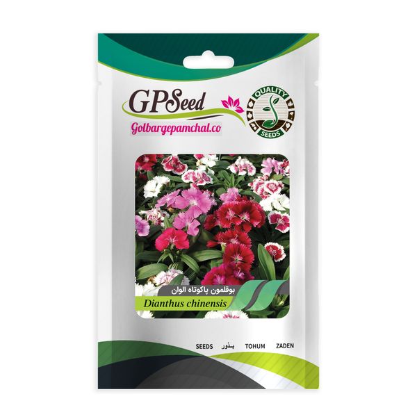 بذر گل بوقلمون الوان گلبرگ پامچال کد GPF-029