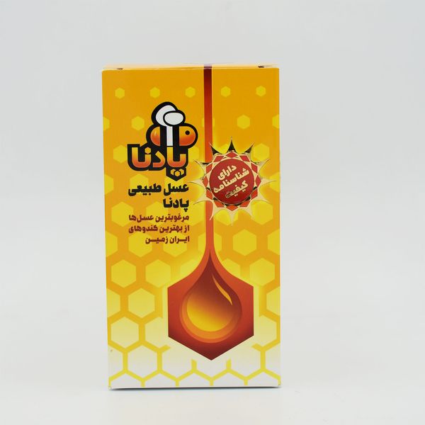 عسل سدر پادنا - 600 گرم