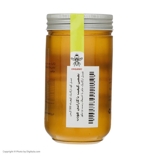 عسل گون ارگانیک کوهپناه - 500 گرم 