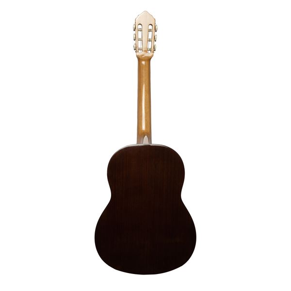 گیتار کلاسیک بنبرگ مدل BG 493