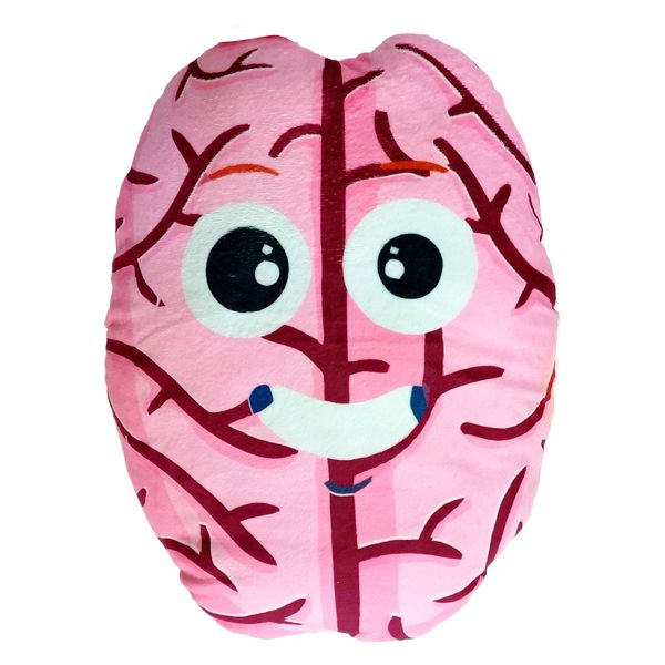 عروسک مدل مغز دوکاره کد 001 ارتفاع 30 سانتی متر
