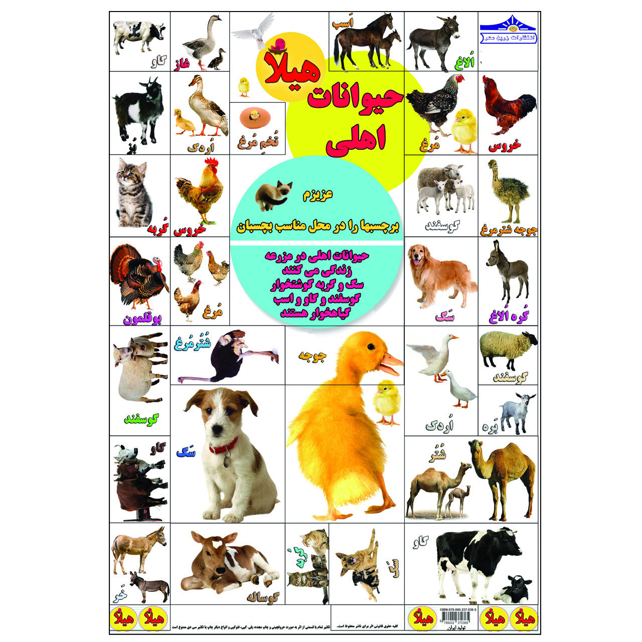 برچسب هیلا مدل آموزش حیوانات اهلی بسته 5 عددی