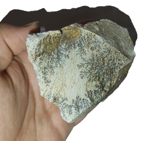 سنگ شجر مدل فسیلی کد 170 F