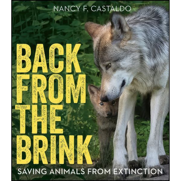 کتاب Back from the Brink اثر Nancy Fusco Castaldo انتشارات Clarion Books